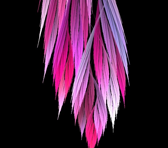 feathers.jpg -  by mackenzieh